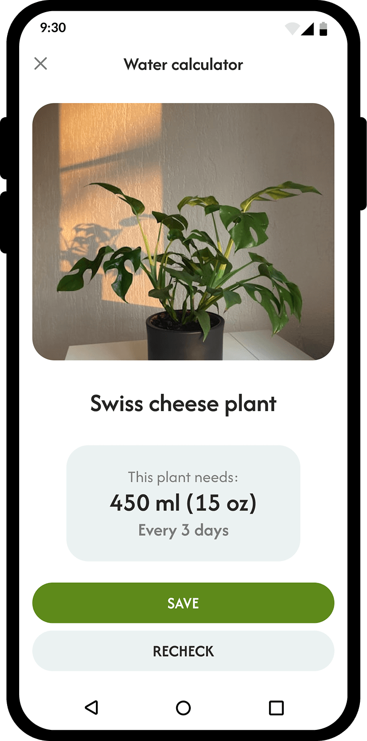 Watering Advice Feature