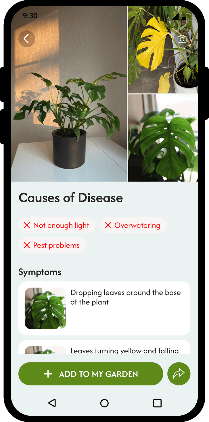 Disease Detection Feature