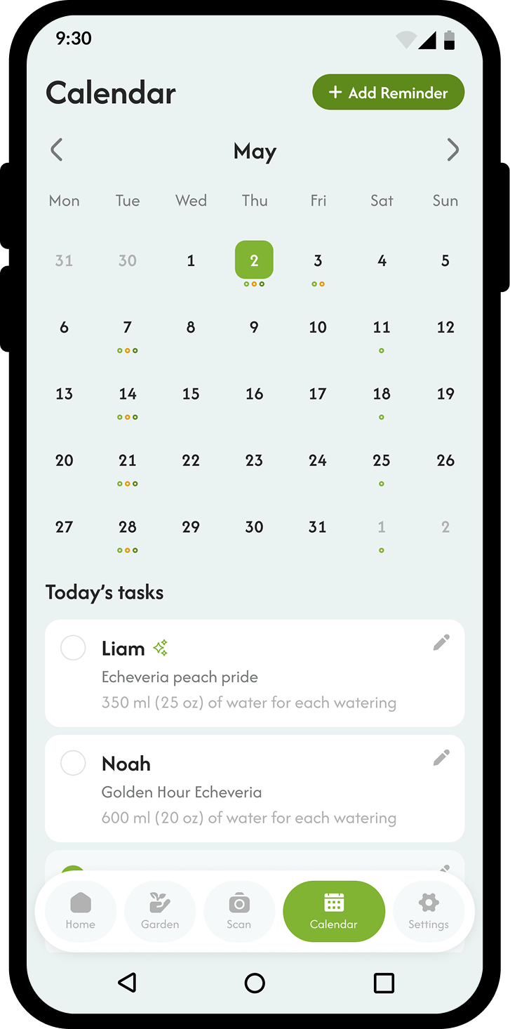 Daily Planning Feature